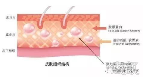 案例图片