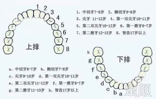 案例图片