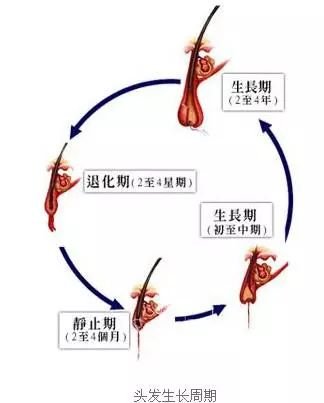 https://img.miyanlife.com/mnt/timg/180118/124K23b1-1.jpg