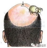 https://img.miyanlife.com/mnt/timg/180119/1204452102-1.jpg