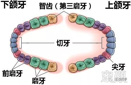 https://img.miyanlife.com/mnt/timg/180125/130HB040-2.jpg