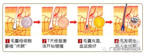 案例图片