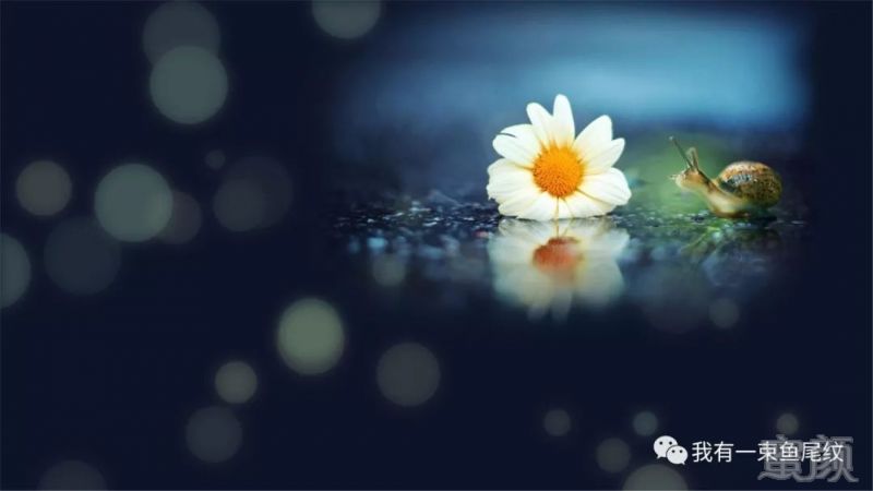 https://img.miyanlife.com/mnt/timg/180126/1030032417-4.jpg