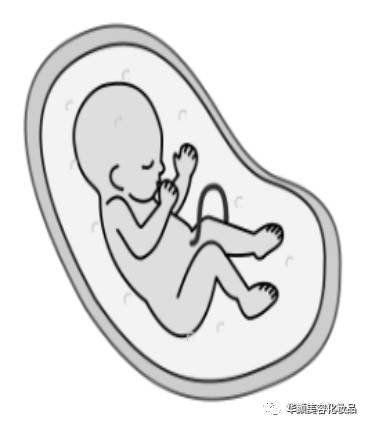 https://img.miyanlife.com/mnt/timg/180126/104G42W5-7.jpg