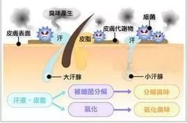 案例图片