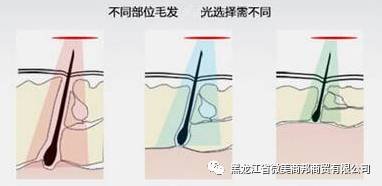 https://img.miyanlife.com/mnt/timg/180127/124Z014W-5.jpg