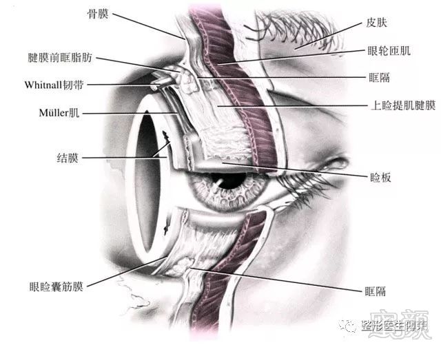 https://img.miyanlife.com/mnt/timg/180128/1104046463-7.jpg