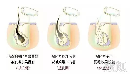 https://img.miyanlife.com/mnt/timg/180128/1556304596-3.jpg