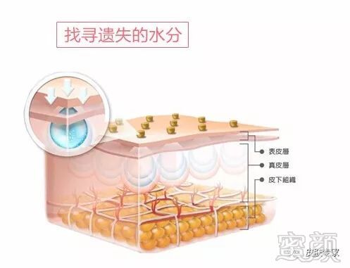 案例图片