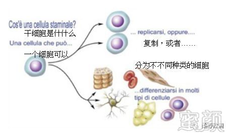 案例图片