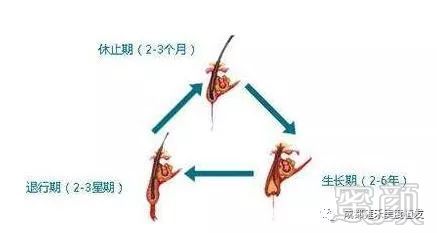 https://img.miyanlife.com/mnt/timg/180129/1236014414-0.jpg