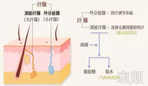 案例图片