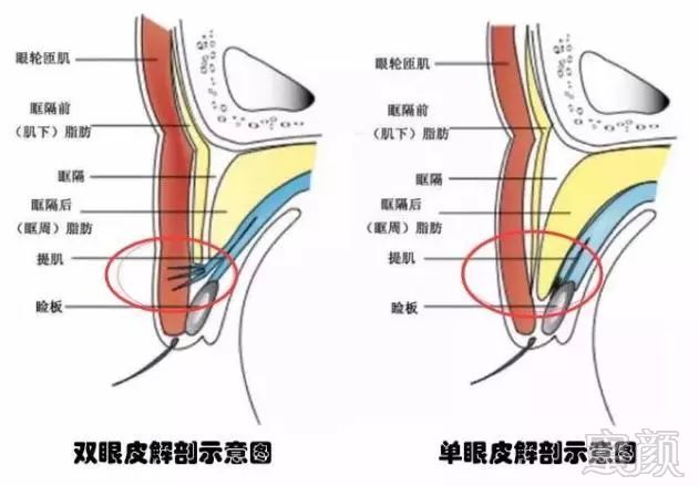 https://img.miyanlife.com/mnt/timg/180131/1123354917-1.jpg