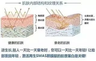 案例图片