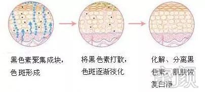 案例图片