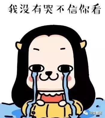 案例图片