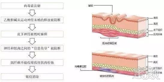 案例图片