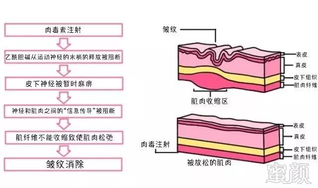 案例图片