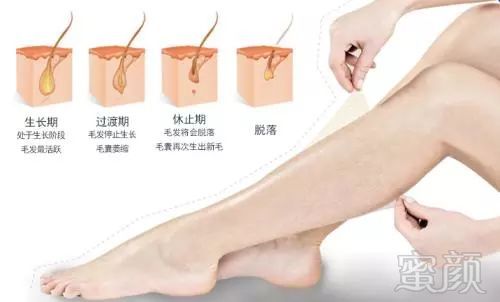 https://img.miyanlife.com/mnt/timg/180203/112T0E26-1.jpg