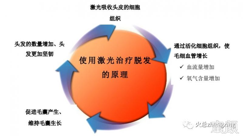https://img.miyanlife.com/mnt/timg/180204/10414aA2-11.jpg