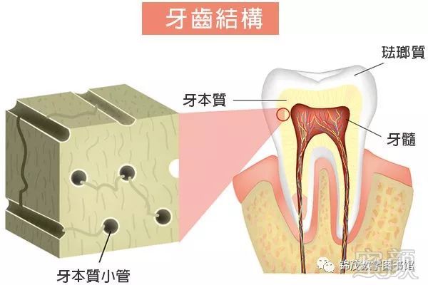 案例图片