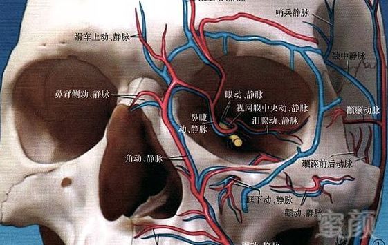 https://img.miyanlife.com/mnt/timg/180205/10463R459-4.jpg