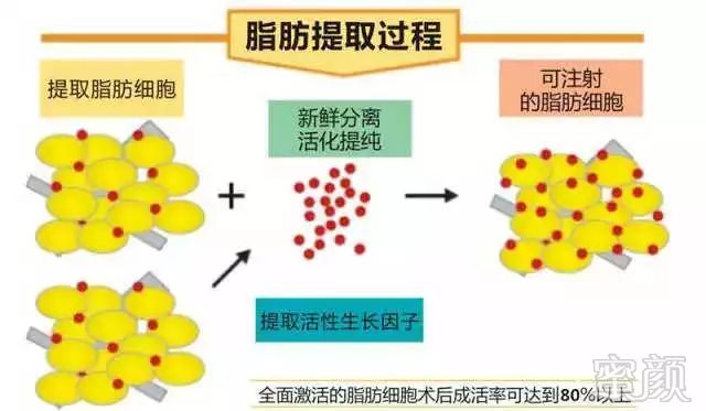 案例图片