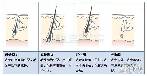 案例图片