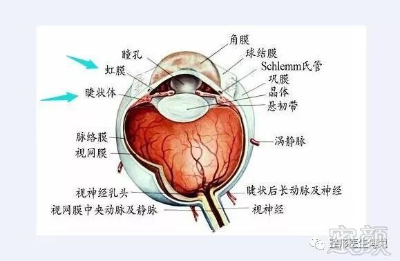https://img.miyanlife.com/mnt/timg/180207/1120512C5-6.jpg