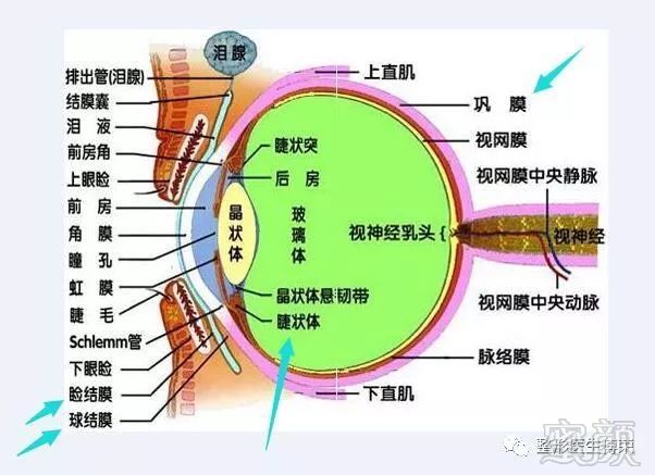 https://img.miyanlife.com/mnt/timg/180207/1120514X0-2.jpg