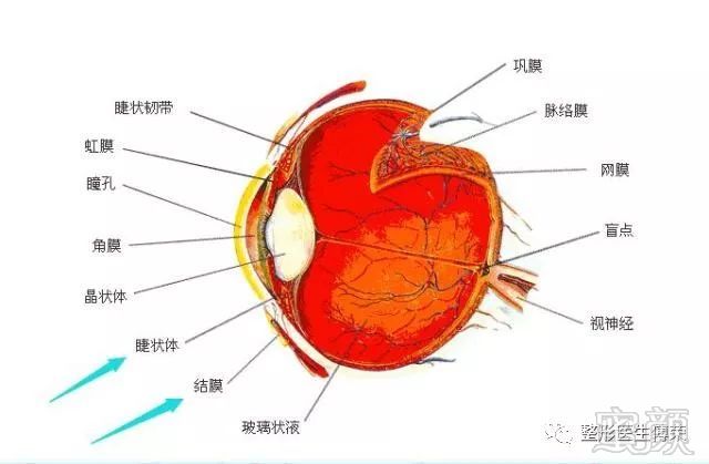 https://img.miyanlife.com/mnt/timg/180207/1120524Z9-7.jpg