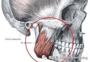 https://img.miyanlife.com/mnt/timg/180209/13095RE5-9.jpg