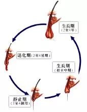 https://img.miyanlife.com/mnt/timg/180210/105P12391-0.jpg