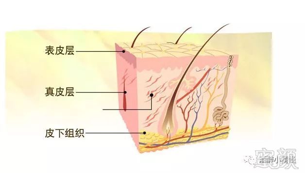 https://img.miyanlife.com/mnt/timg/180213/101I0MO-0.jpg