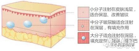 案例图片