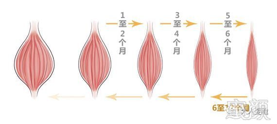 https://img.miyanlife.com/mnt/timg/180214/1022462O7-10.jpg