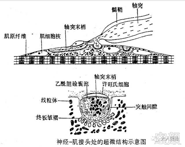 https://img.miyanlife.com/mnt/timg/180214/10224AD9-9.jpg