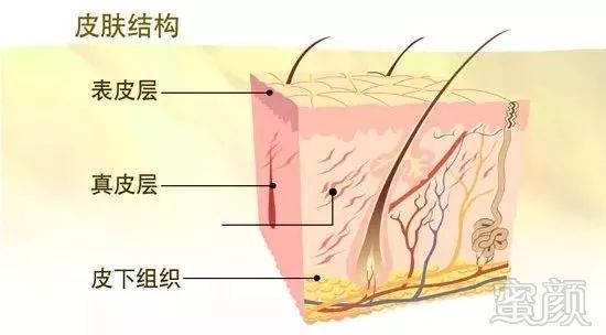 案例图片