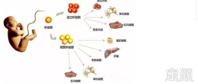 案例图片