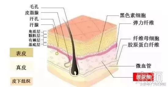 案例图片