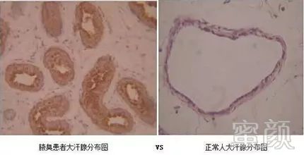 案例图片