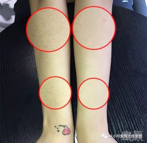 https://img.miyanlife.com/mnt/timg/180227/125R23A6-6.jpg
