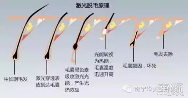 https://img.miyanlife.com/mnt/timg/180228/1322444293-0.jpg