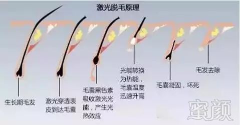 https://img.miyanlife.com/mnt/timg/180301/1309362Y4-4.jpg