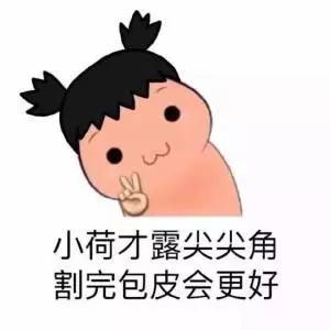 案例图片