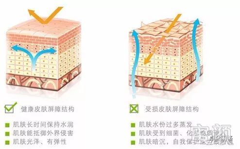 案例图片