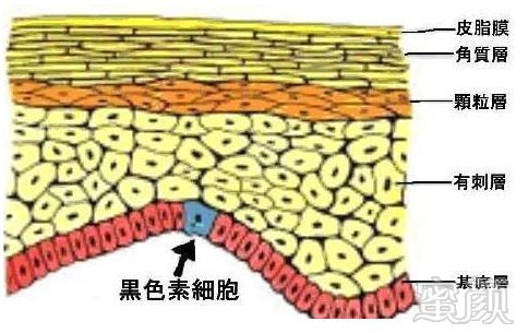 案例图片