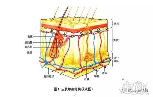 https://img.miyanlife.com/mnt/timg/180305/115I914Z-1.jpg