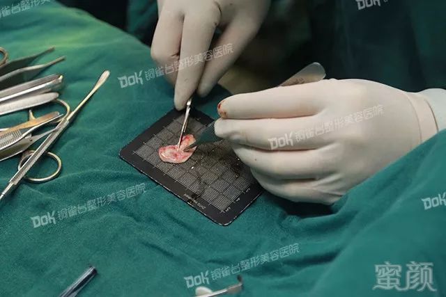 https://img.miyanlife.com/mnt/timg/180306/105F215b-10.jpg