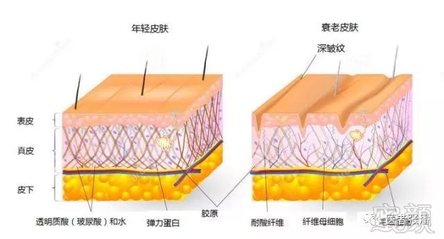 案例图片